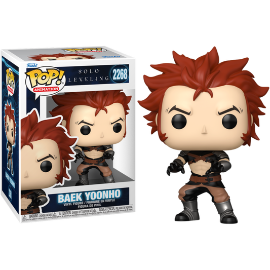 Pop! Animation: Solo Leveling - Baek Yoonho
